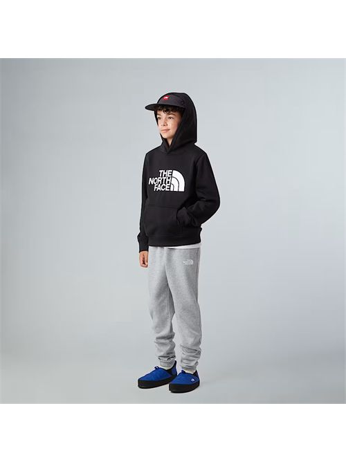 THE NORTH FACE | NF0A8EHH/JK31
